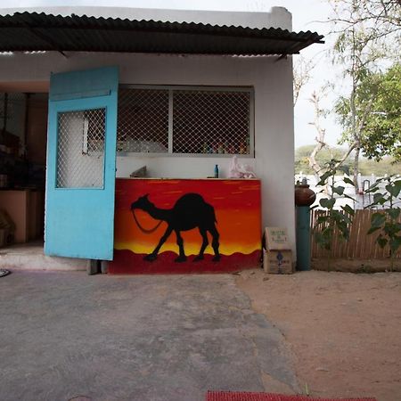 Backpacker Panda Chand Palace Pushkar Exterior foto