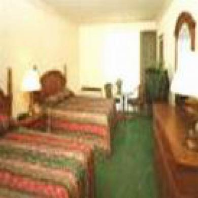 Backpacker Panda Chand Palace Pushkar Exterior foto